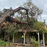 Hilltops Vegetation Services - Pic 8