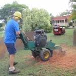 Using the Red Roo stump grinder to grind an old stump in a front yard.