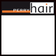 Perry Hair - logo