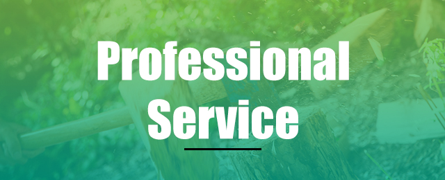 jeff s tree service stump removal jeffs tree service promotion stump removal services wetherill park jeff s tree service stump removal jeffs tree service promotion stump removal services wetherill park