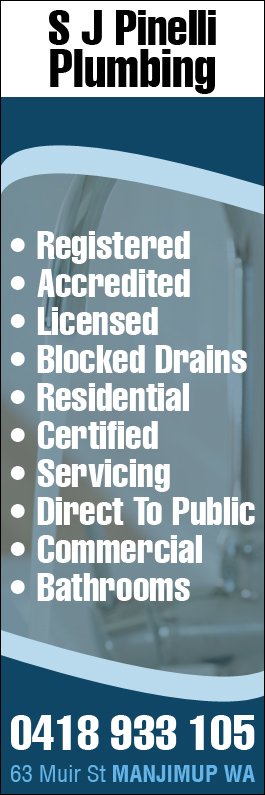 S J Pinelli Plumbing - Promotion
