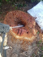 Picton Pest Control - Pic 8