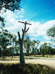Power Pole Installations - Pic 5