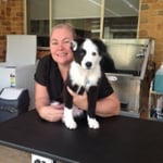 Puppy care and advice