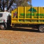 Curtis Tree Lopping Specialists - Pic 8