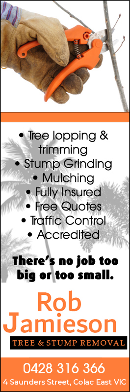 Rob Jamieson Tree & Stump Removal - Promotion