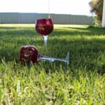 Sunraysia Evergreen Turf - Pic 8