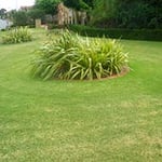 Brimbank Mowing & Gardening - Pic 9