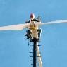Si Clean Energy - Pic 5