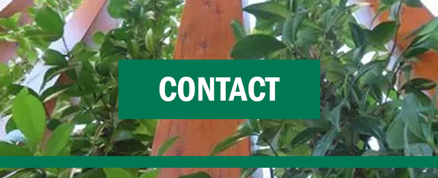 Ian Kelly Landscape Contractor - Promotion 1
