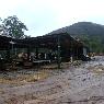 Dindi Sawmills Pty Ltd - Pic 2
