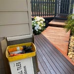 Banana Coast Painting - Pic 4