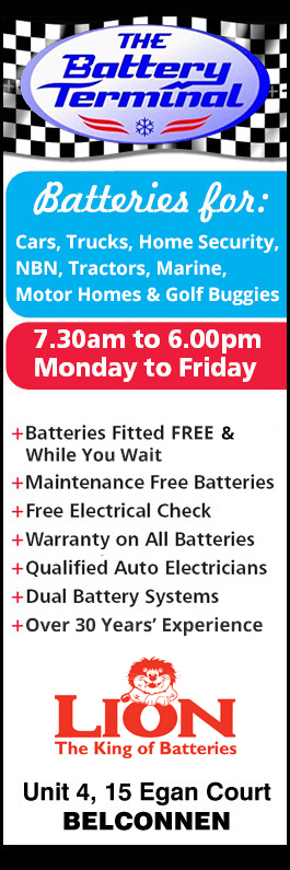 Battery Terminal The - Promotion