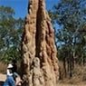 Systems Pest Management Pty Ltd - Pic 8