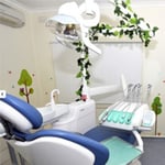 Dental Logic - Pic 5