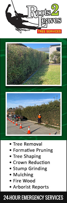 Roots 2 Leaves Tree Services - Promotion