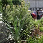 Mark's Landscape Supplies - Pic 2