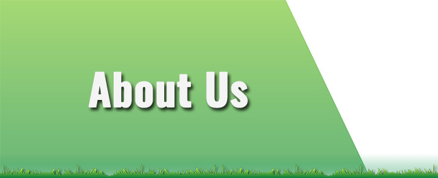 Great Northern Turf - Promotion 2
