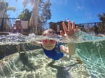 Willows Pool Shop