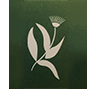 Flora Landscapes - logo