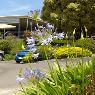 Matthew Flinders Care Services - Pic 1