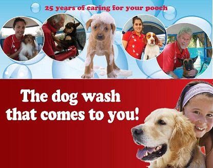 caso 6 aussie pooch mobile Answer to case 9 aussie pooch mobile christopher lovelock and lorelle frazer after creating a mobile service that washes dogs outs. caso 6 aussie pooch mobile Answer to case 9 aussie pooch mobile christopher lovelock and lorelle frazer after creating a mobile service that washes dogs outs.