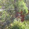 Hobart Bush Cabins - Pic 6