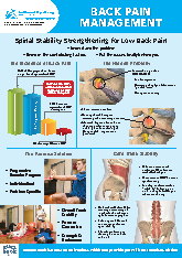 View PDF