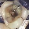 Adelaide Emergency Dental - Pic 7