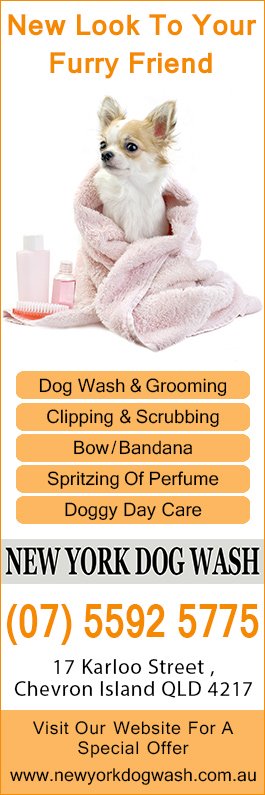 New York Dog Wash - Promotion