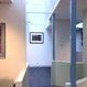 Michael Langford Plaster - Pic 2