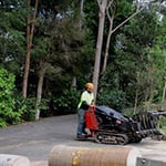 A Accurate Tree Services - Pic 1