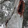 Biota Group - Pic 9