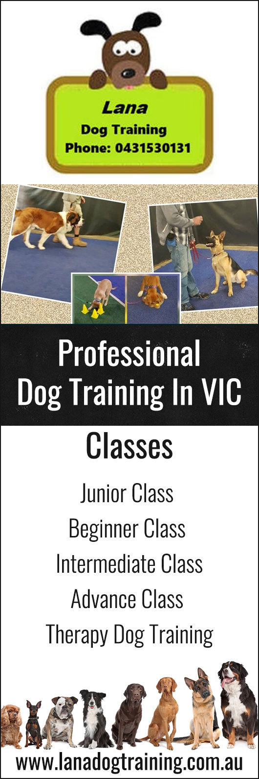 Lana's Dog Training - Promotion