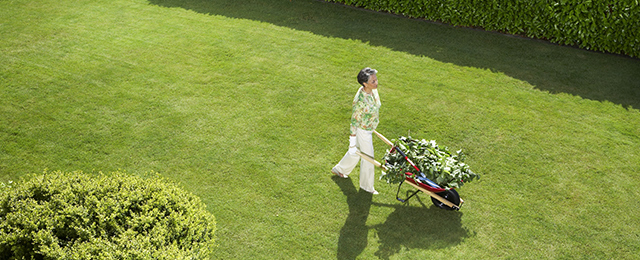 Robert's Home & Garden Maintenance - Promotion 1