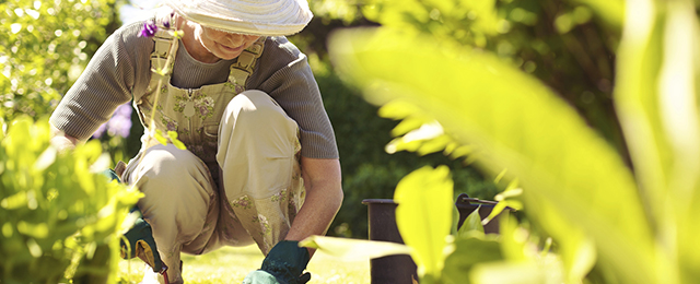 Robert's Home & Garden Maintenance - Promotion 2