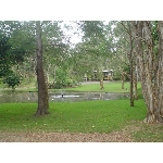 Quiet Bush setting we live on site
