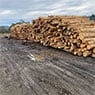 Firewood Devils - Pic 3