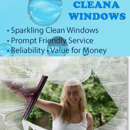 Cleana Windows - Promotion