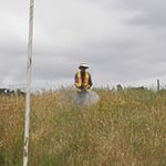 Fletchers Weed Away - Pic 1