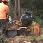 Hobart Tree Chipping & Recycling - Pic 9