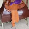 Marsh Carney Saddlery - Pic 4