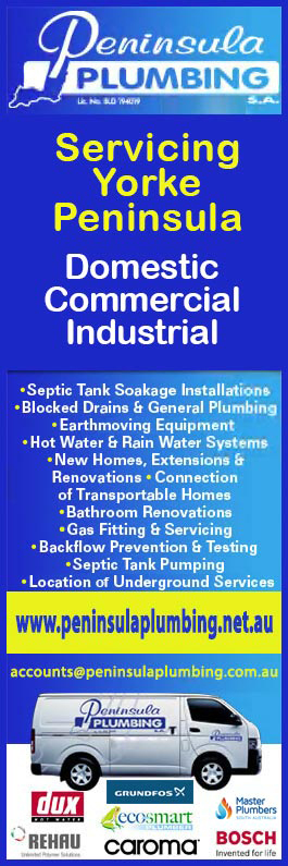 Peninsula Plumbing S.A. - Promotion