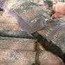 Wyong Roof Repairs - Pic 2