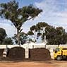 Mildura Mini Mix - Pic 7