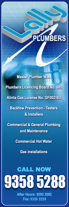 Lally Plumbers - Promotion