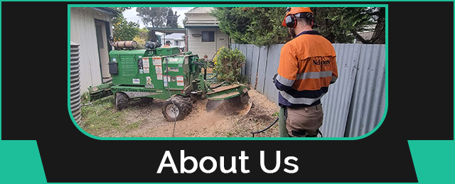 Nelson's Tree Services - Promotion 2