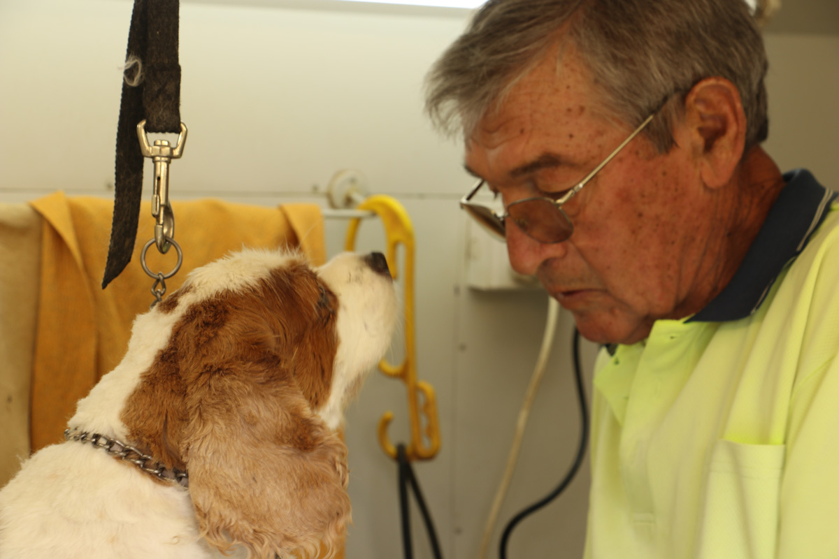 Canine Clean Mobile Dog Wash Dog & Cat Clipping & Grooming Mildura