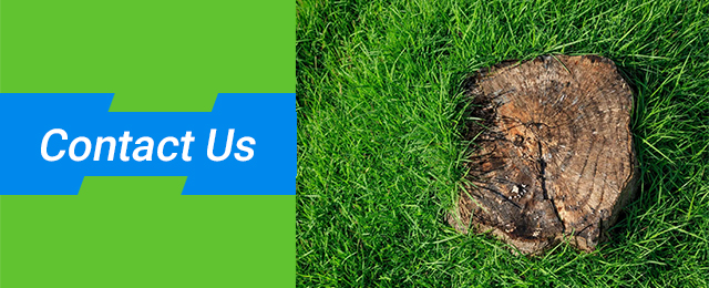 Affordable Stump Grinding - Promotion 1