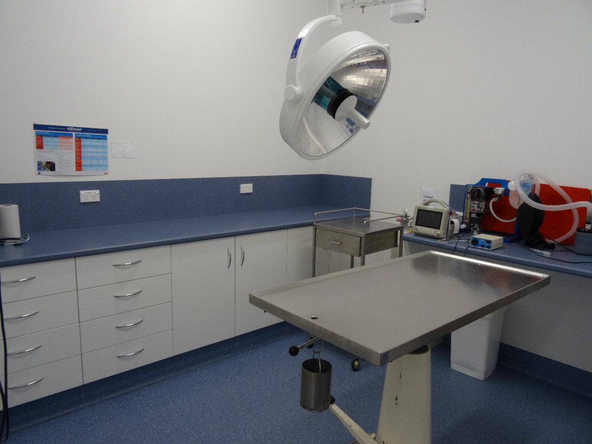 Birkdale Veterinary Clinic Vets & Veterinary Surgeons Birkdale